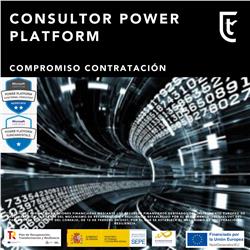 Consultor Power Platform...
